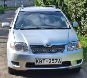 Toyota Corolla Fielder 2008 Silver