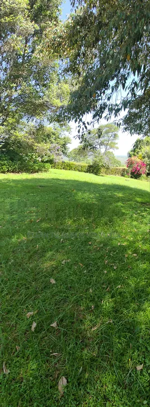 1 Acre Land For Sale. Kinangop. Mawingu