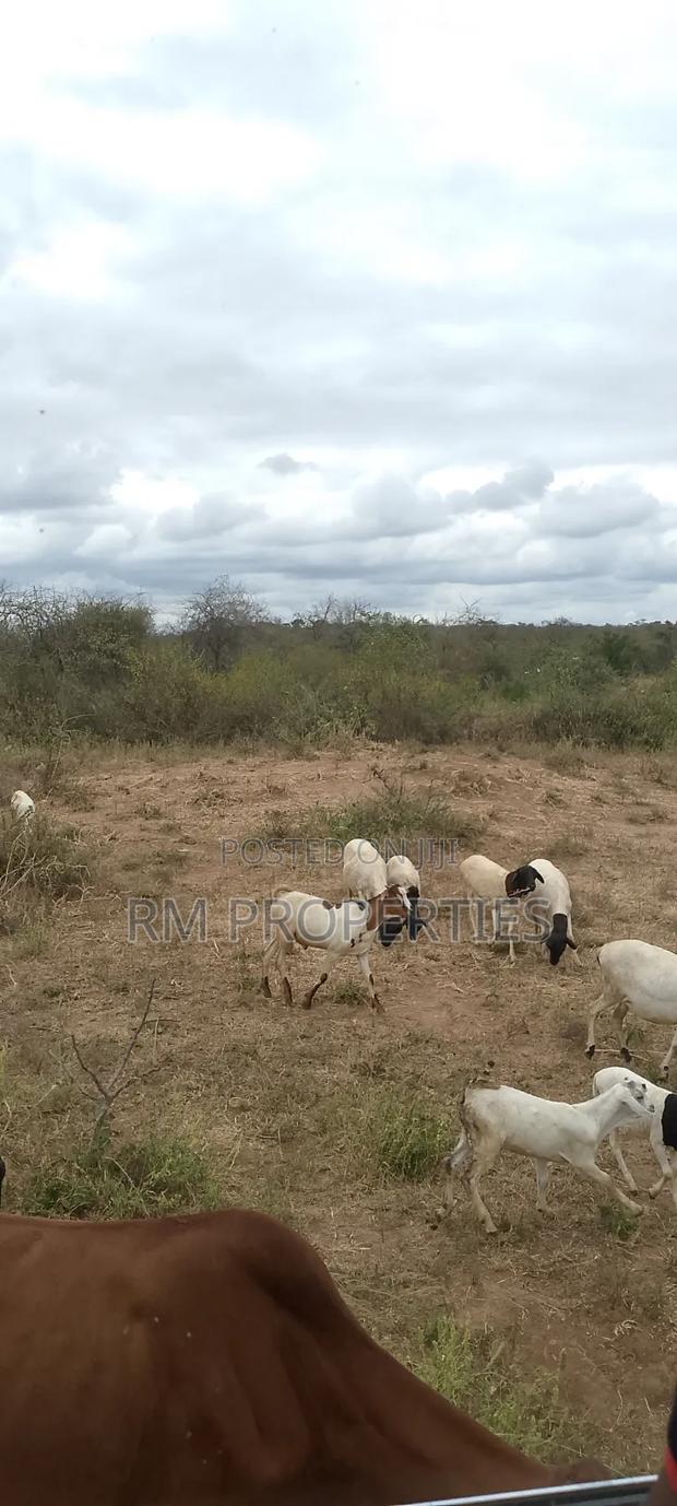 Matuu Plots for Sale - thumbnail 2