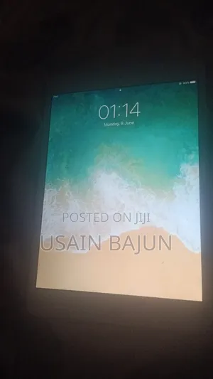 Apple iPad mini 2 16 GB Silver