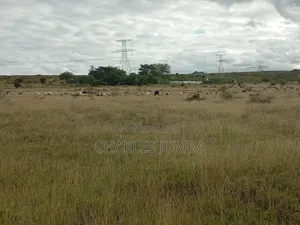 10 Acres in Kitengela Reserve