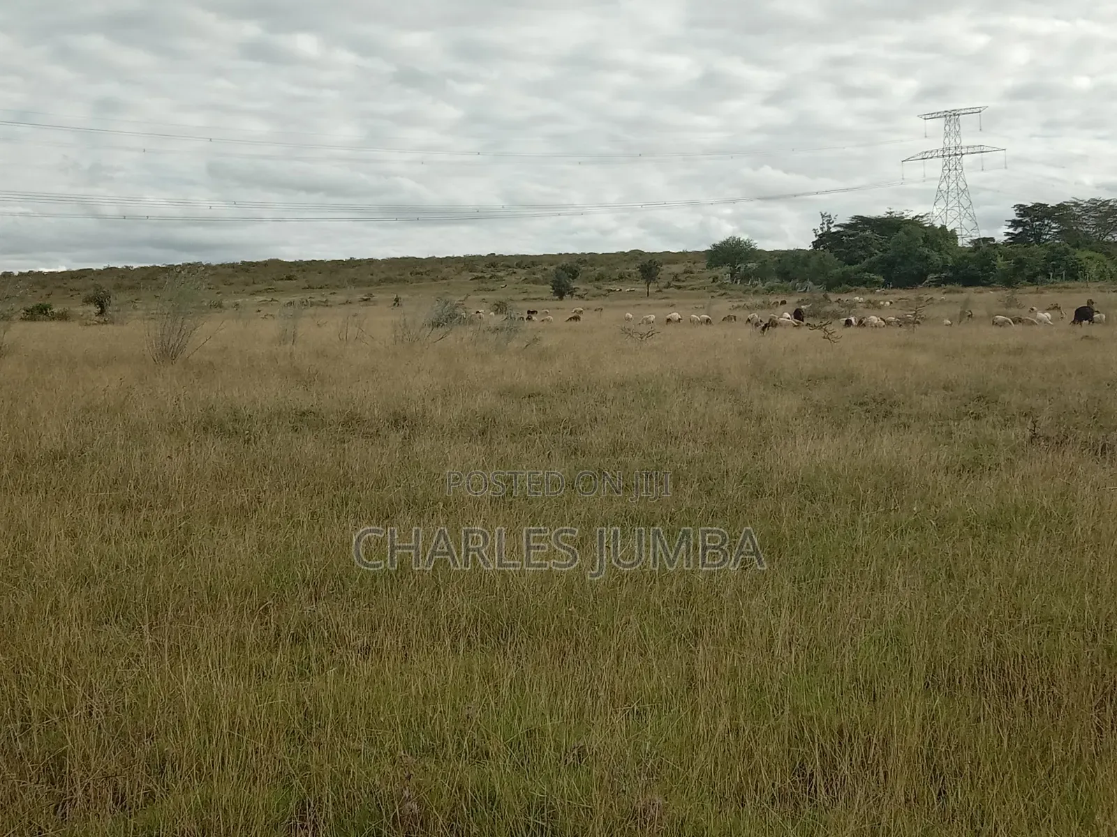 10 Acres in Kitengela Reserve