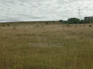10 Acres in Kitengela Reserve