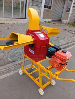 Chopping and Grinding Chaff Cutter 600kg/H