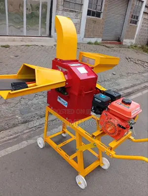 Chopping and Grinding Chaff Cutter 600kg/H