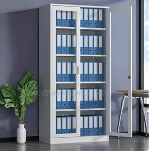 2-Door Lockable Office Cabinet