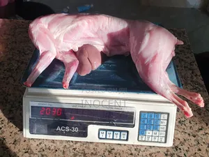 Rabbit Meat