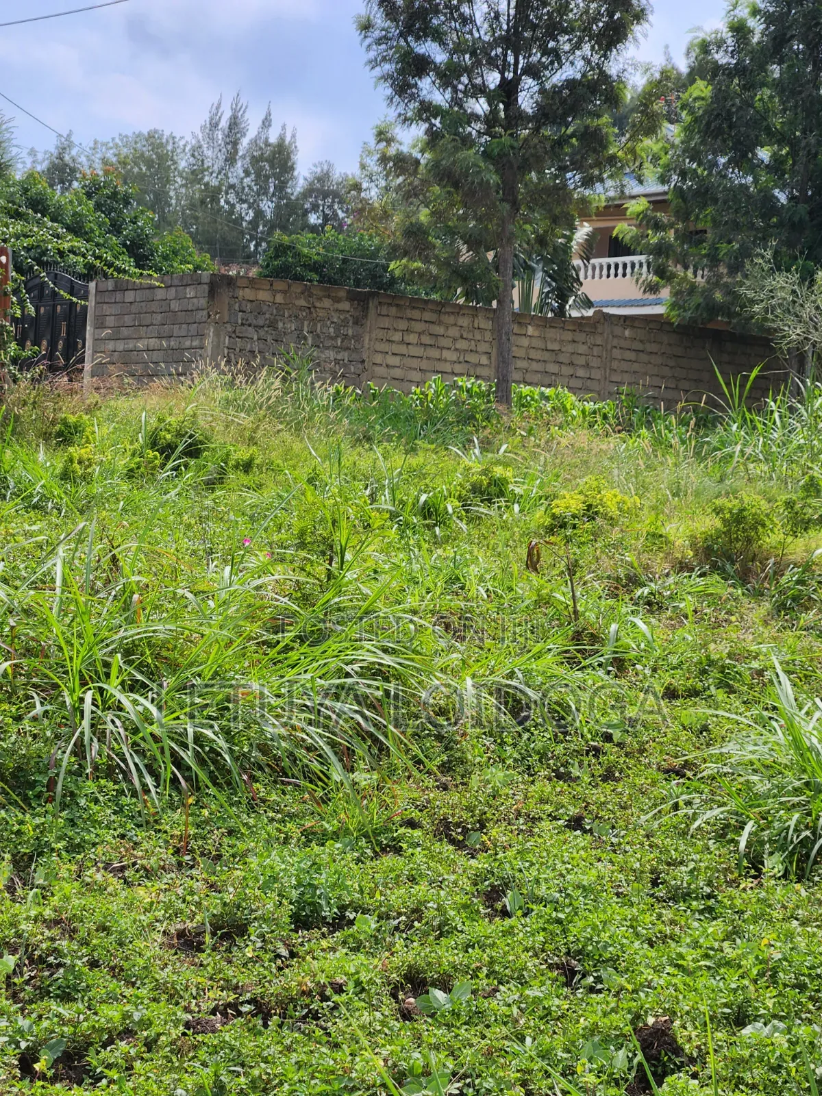1⁄4 Acre Ngong-Memusi