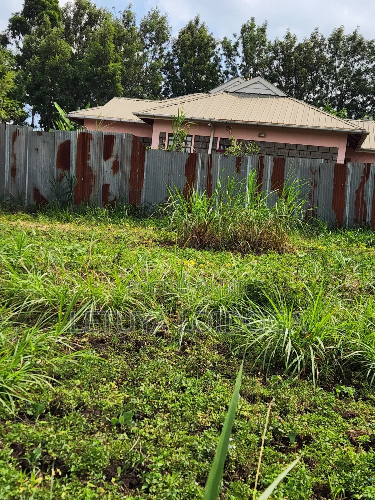 1⁄4 Acre Ngong-Memusi