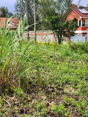 1⁄4 Acre Ngong-Memusi