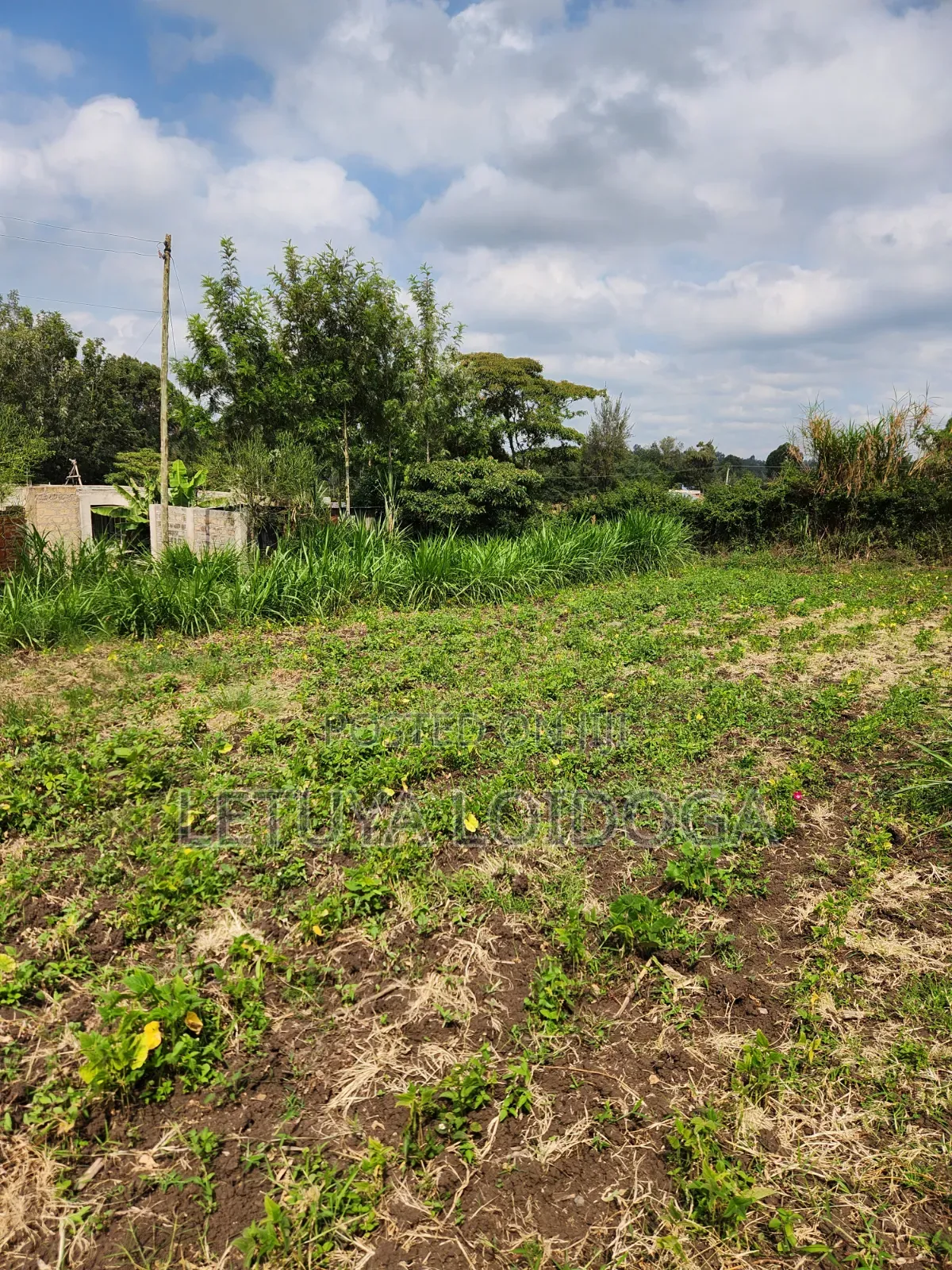 1⁄4 Acre Ngong-Memusi