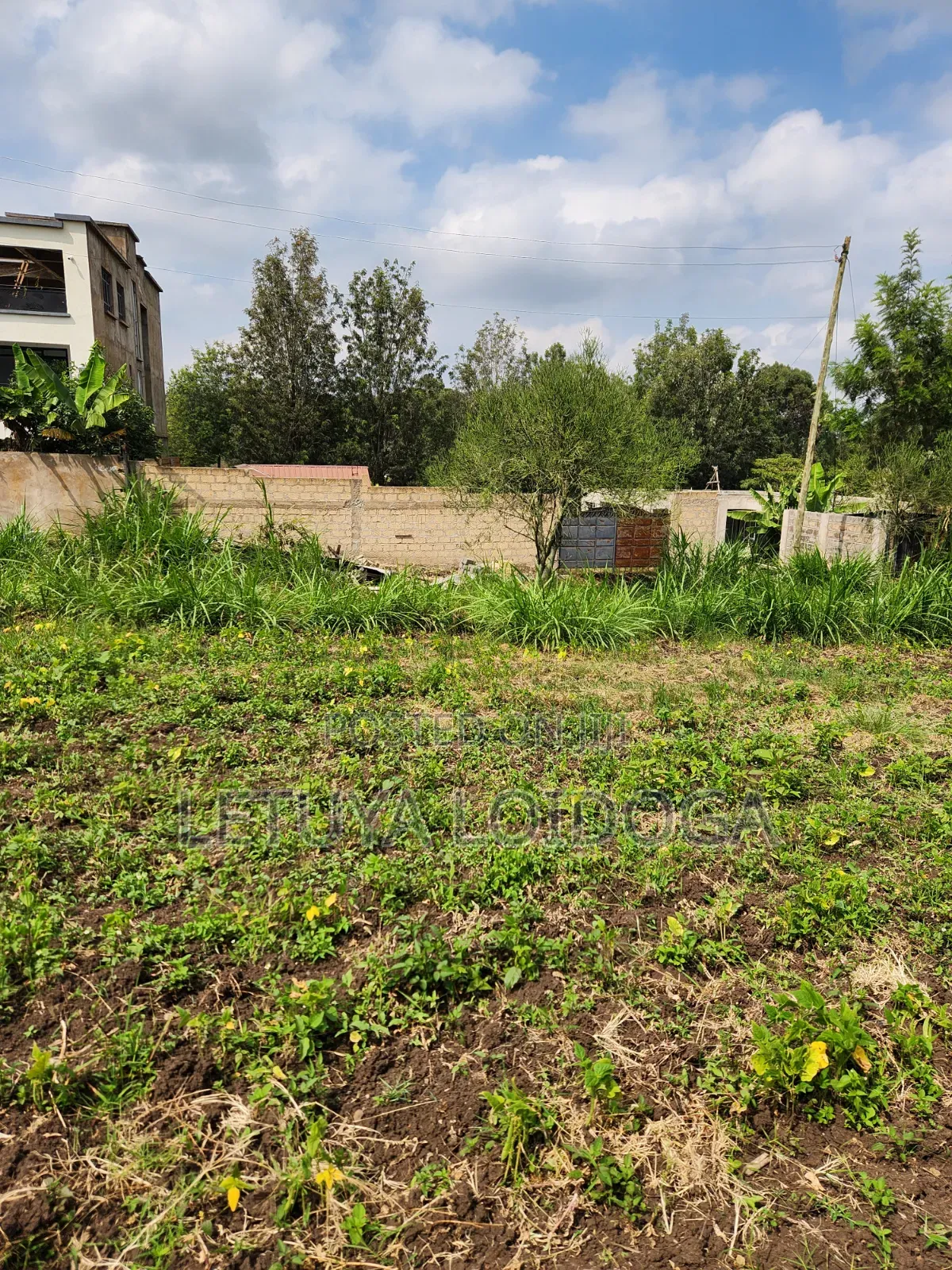 1⁄4 Acre Ngong-Memusi