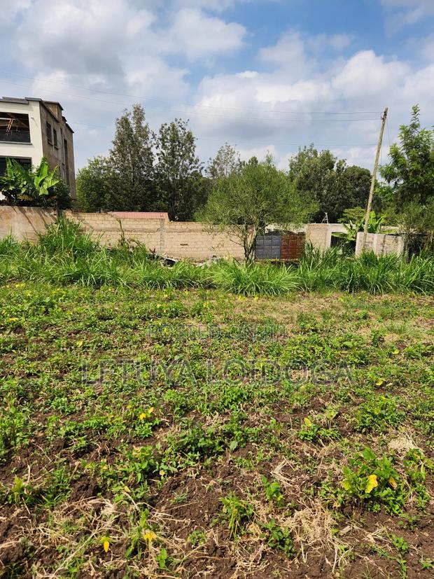 1⁄4 Acre Ngong-Memusi - thumbnail 7