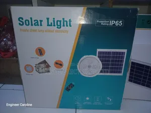 Solar Ceiling Light