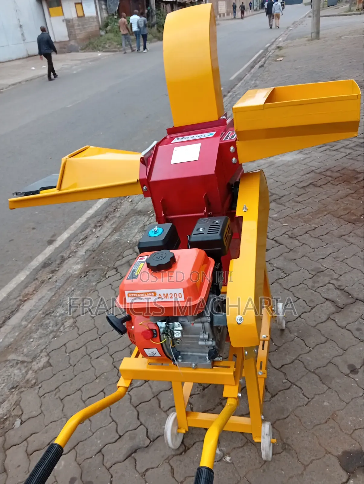 Chopper Dual Purpose Fodder Chopping Machine