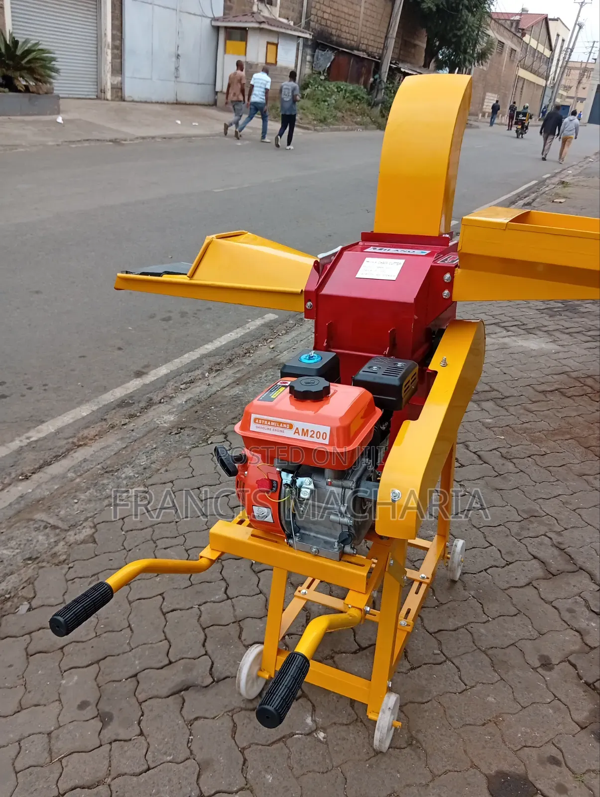 Chopper Dual Purpose Fodder Chopping Machine
