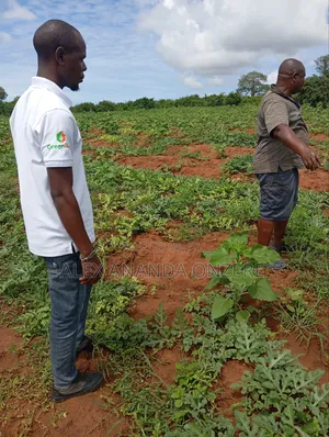 Agronomic Service Provision.