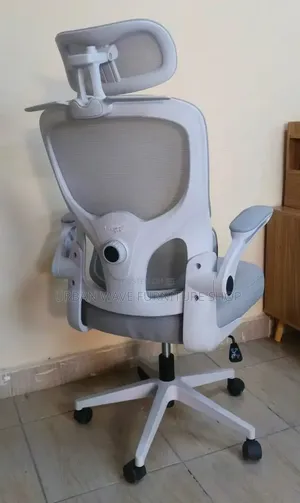 Back Pain Office Support Chair