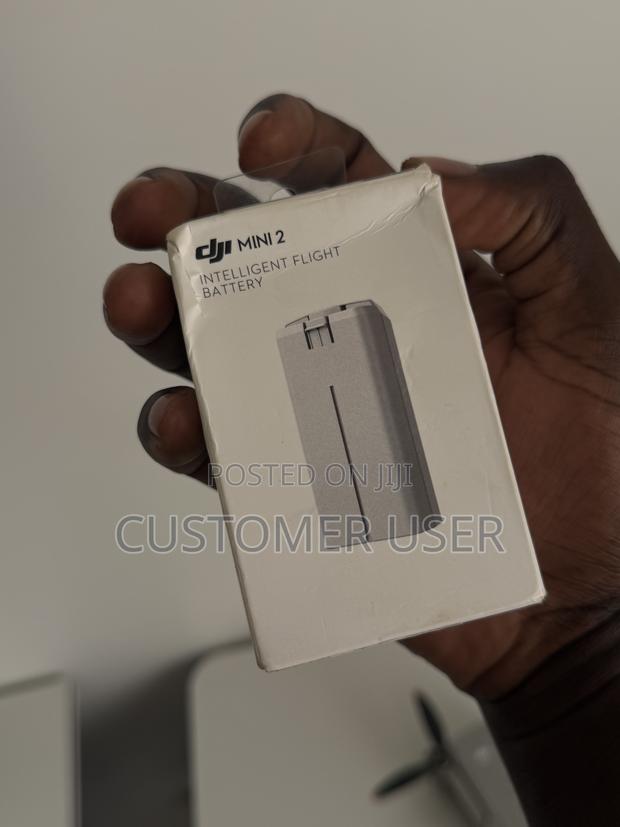 Dji Mini 2 Drone - thumbnail 7