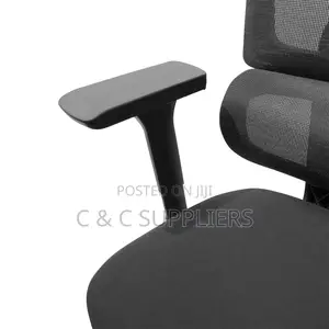 Office Orthopedic Mesh Chair.
