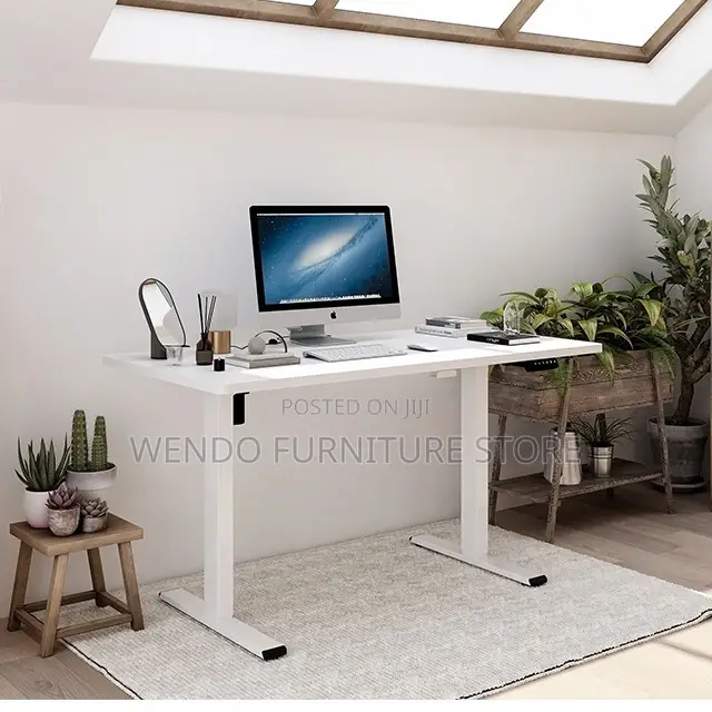 Office Desk; Ergonomic Home Office Adjustable Desk