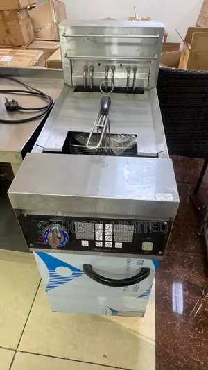 Commercial Electric Deep Fryer