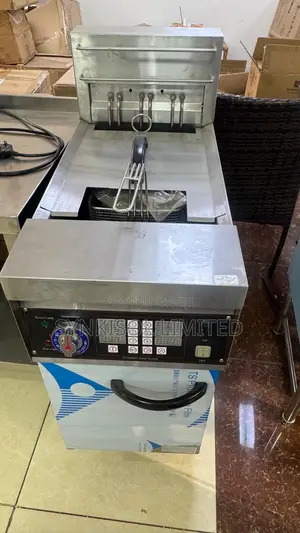 Commercial Electric Deep Fryer