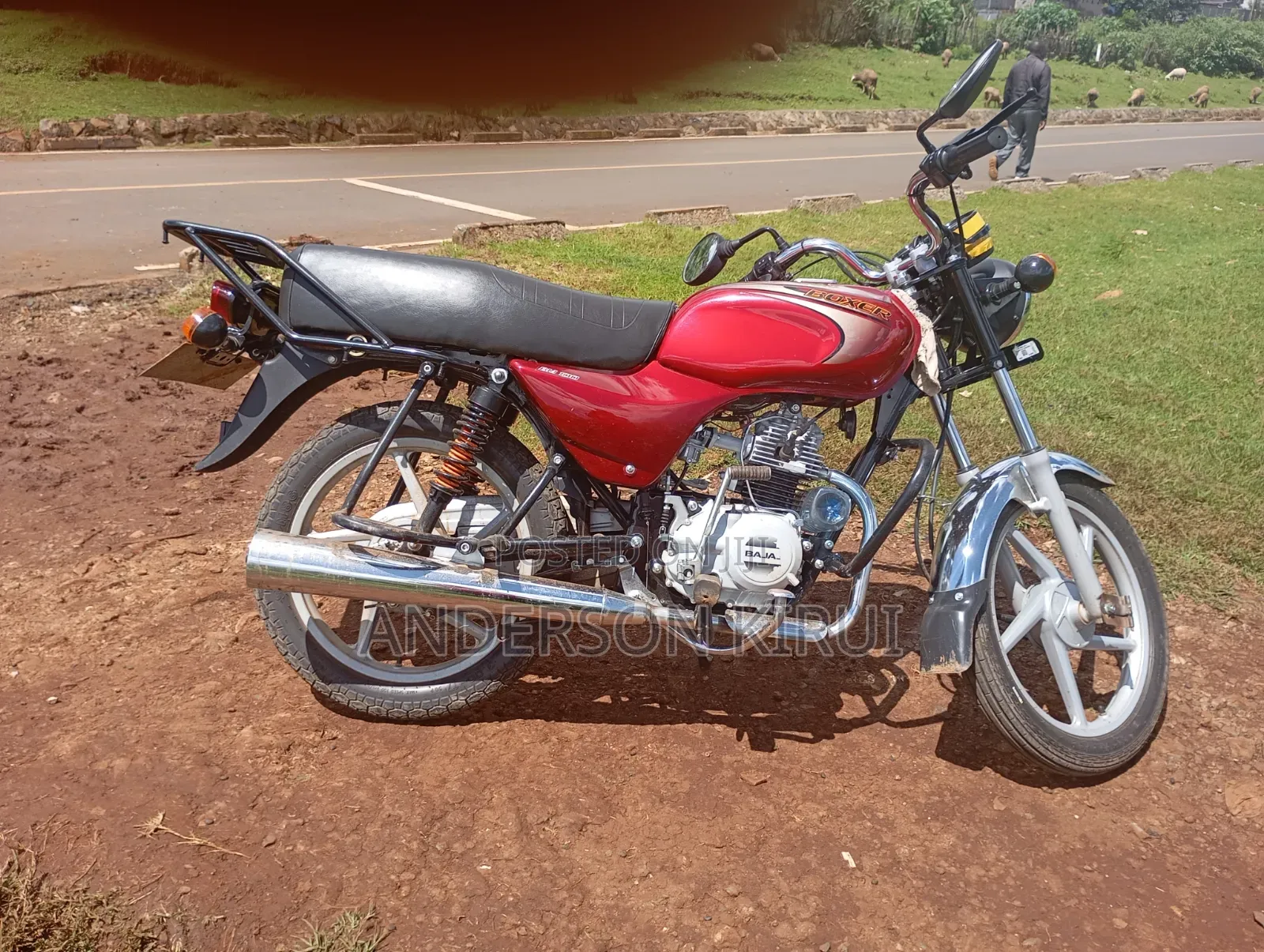 Bajaj Boxer 100 2023 Red
