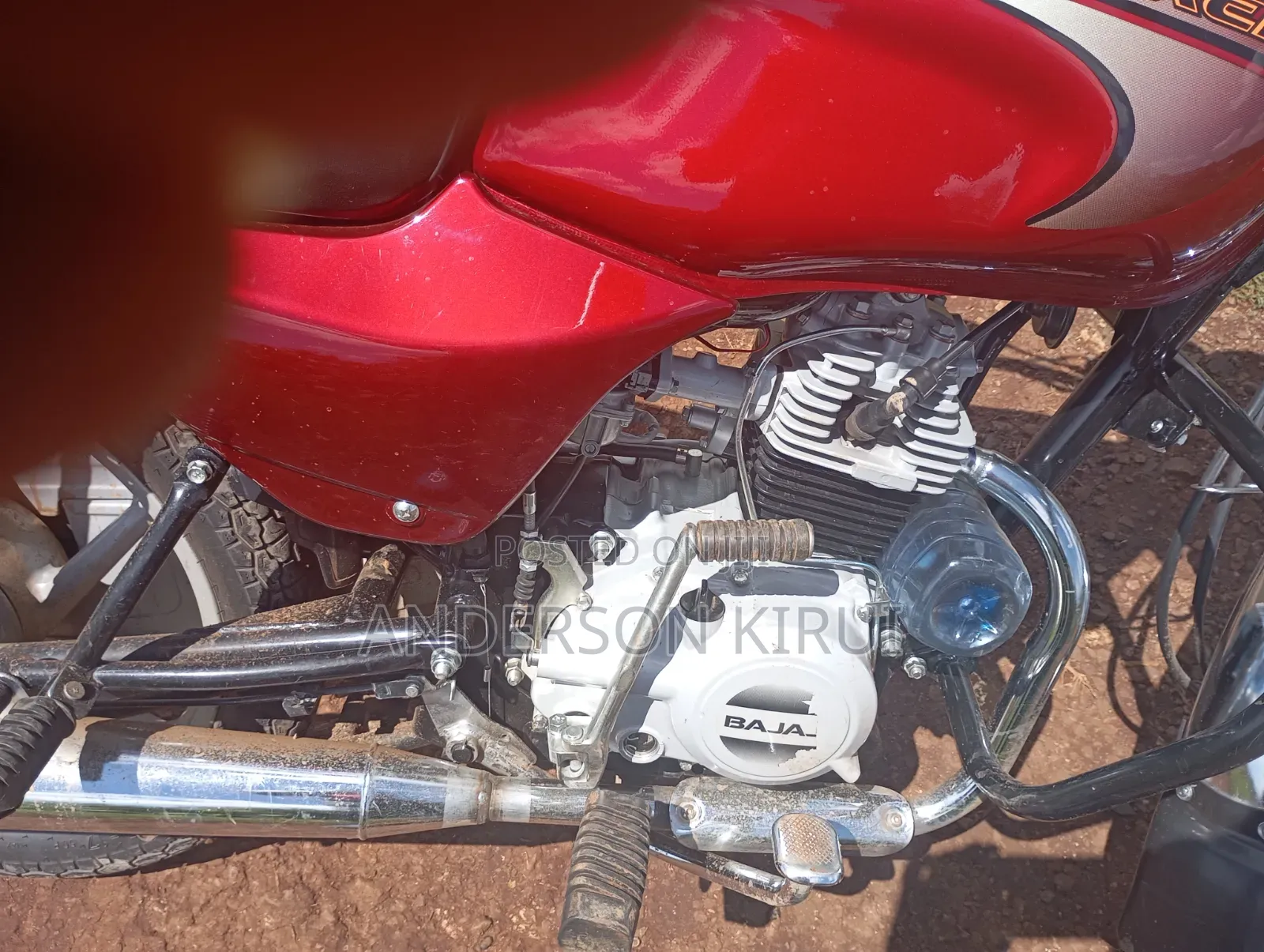 Bajaj Boxer 100 2023 Red
