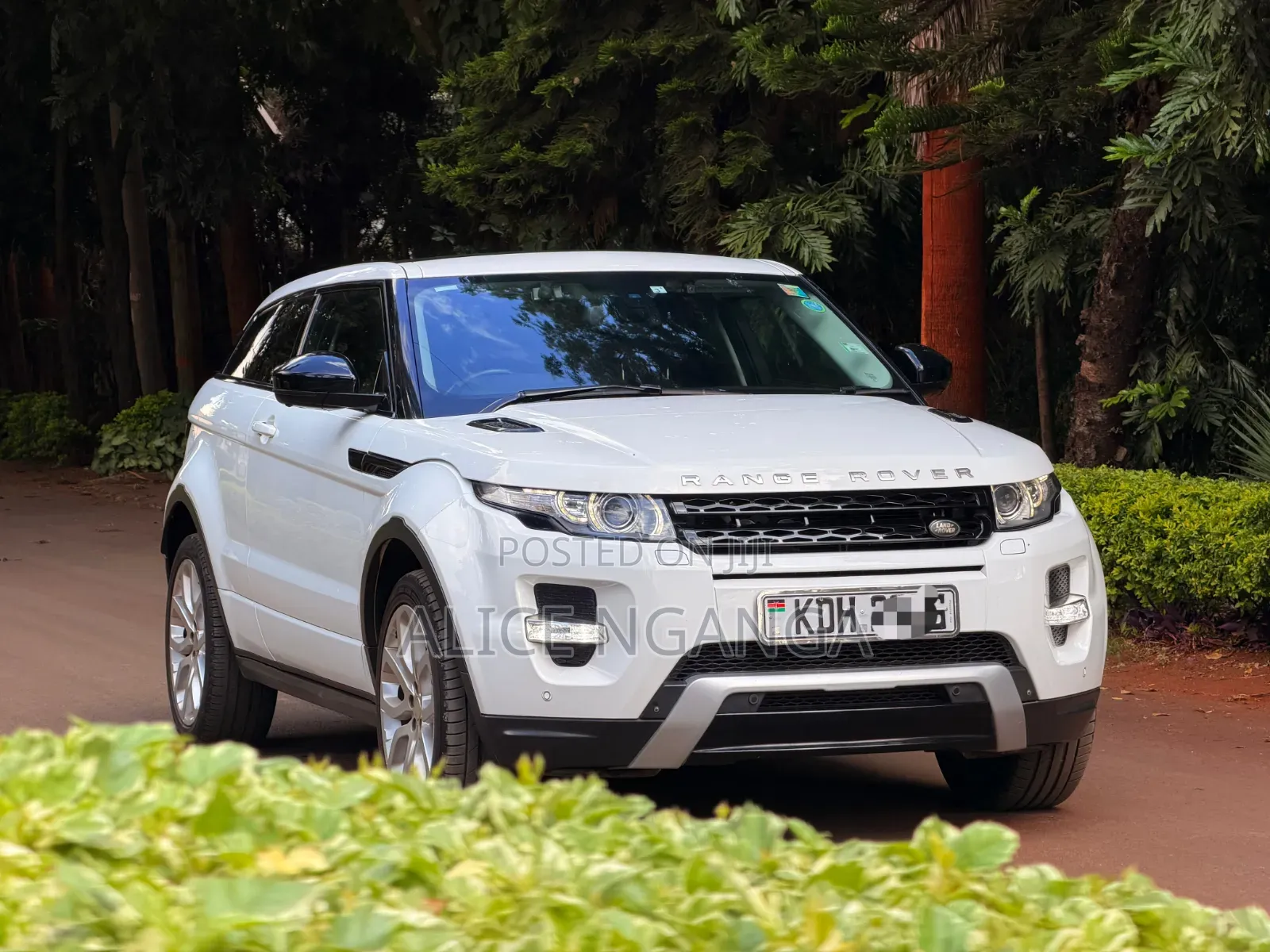 Land Rover Range Rover Evoque 2015 White