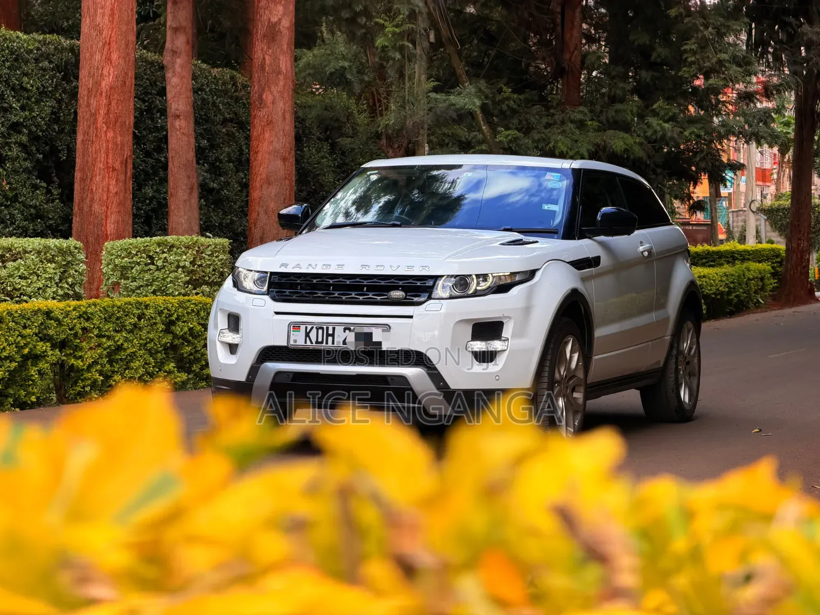 Land Rover Range Rover Evoque 2015 White