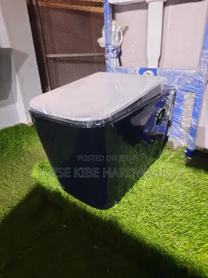 Black Wall Hung Toilet Available