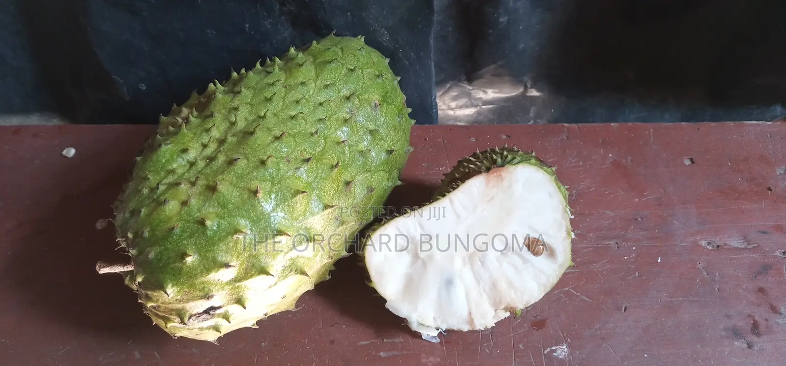 Soursop Fruit