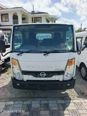 Nissan 2019 White