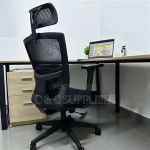 Ergonomic Office Chair With Armrest