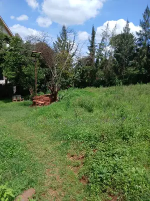 Kerarapon Drive.