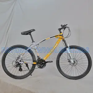 New Phoenix Mountain Bike | 21-Speed With Disc Brakes