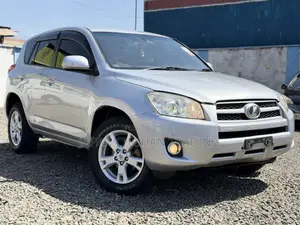 Toyota RAV4 2010 Silver