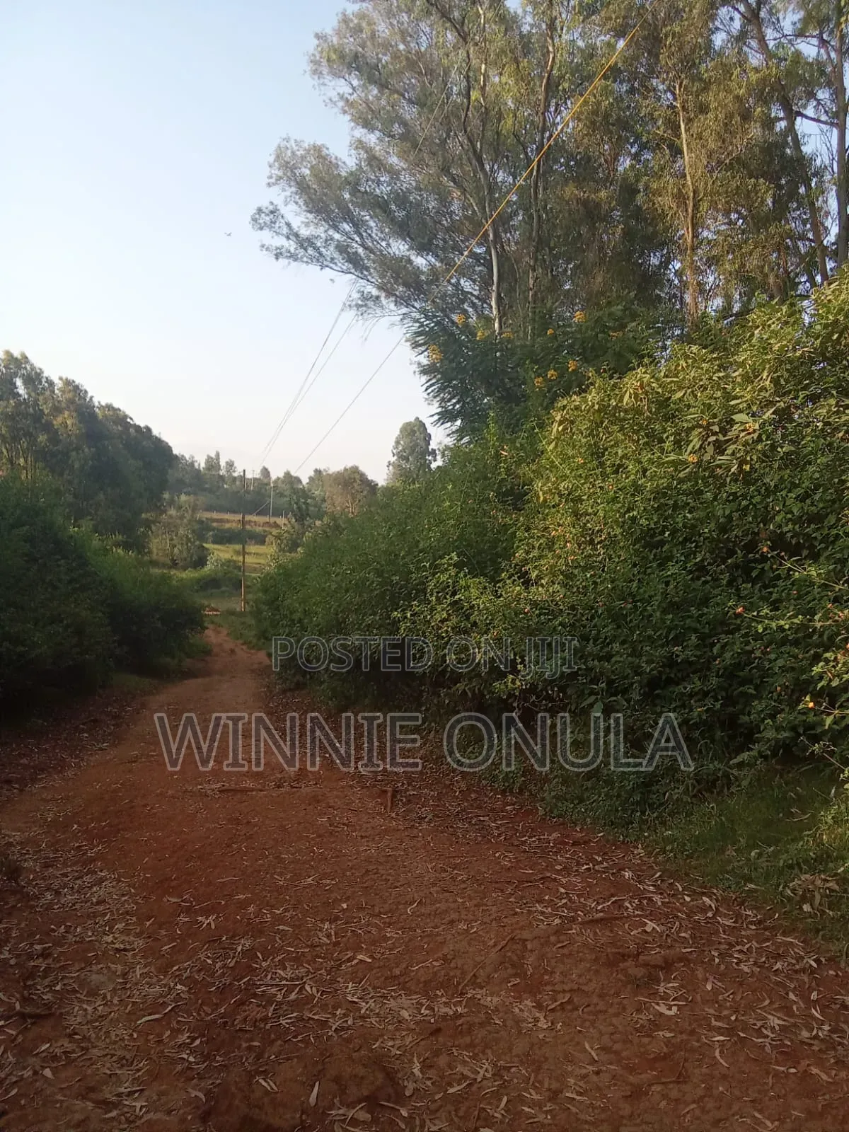 6acres Miotoni Karen