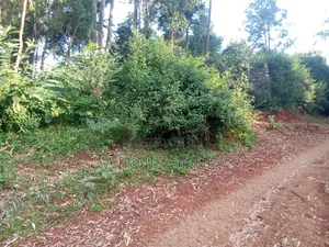 6acres Miotoni Karen
