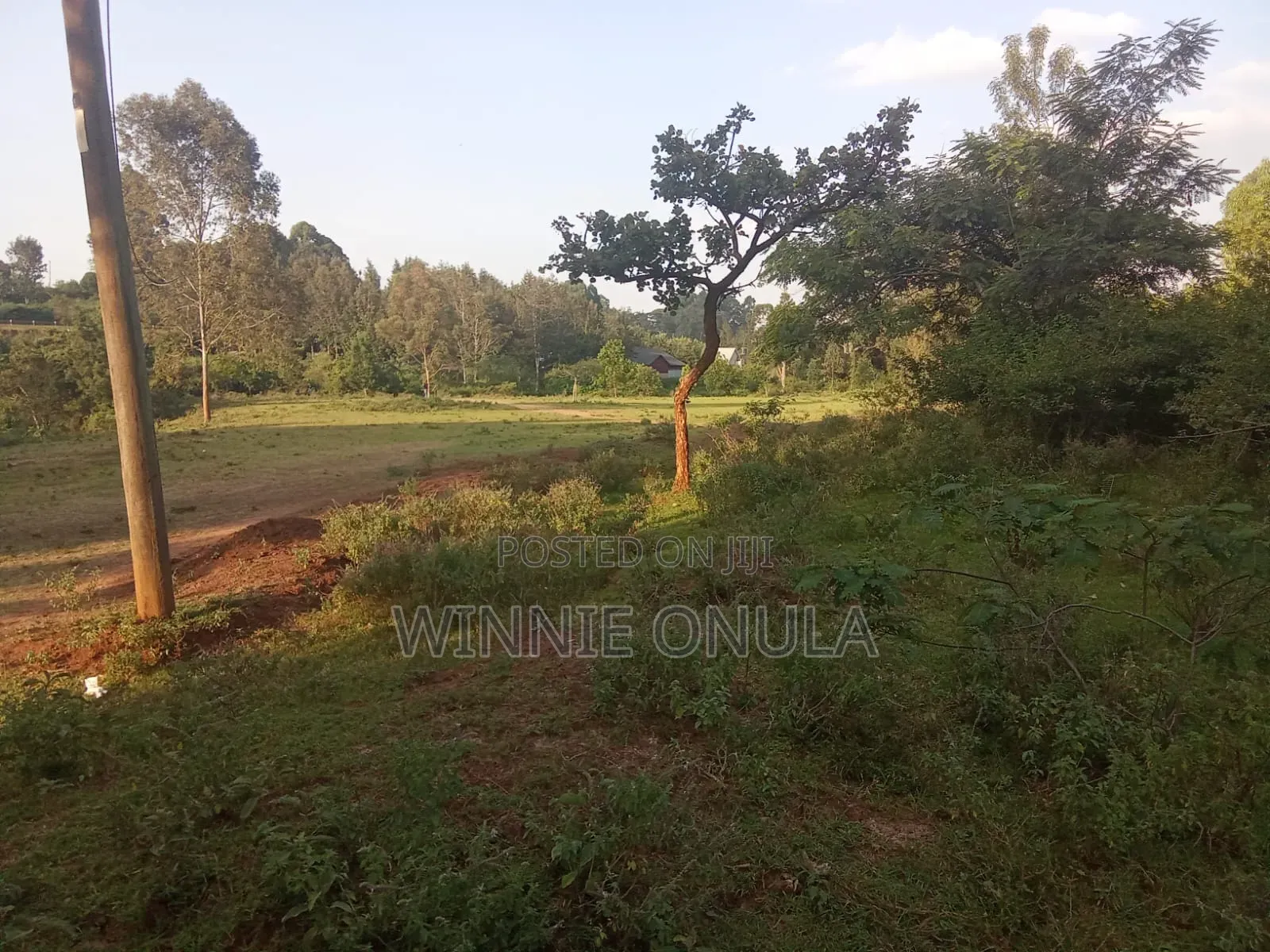 6acres Miotoni Karen