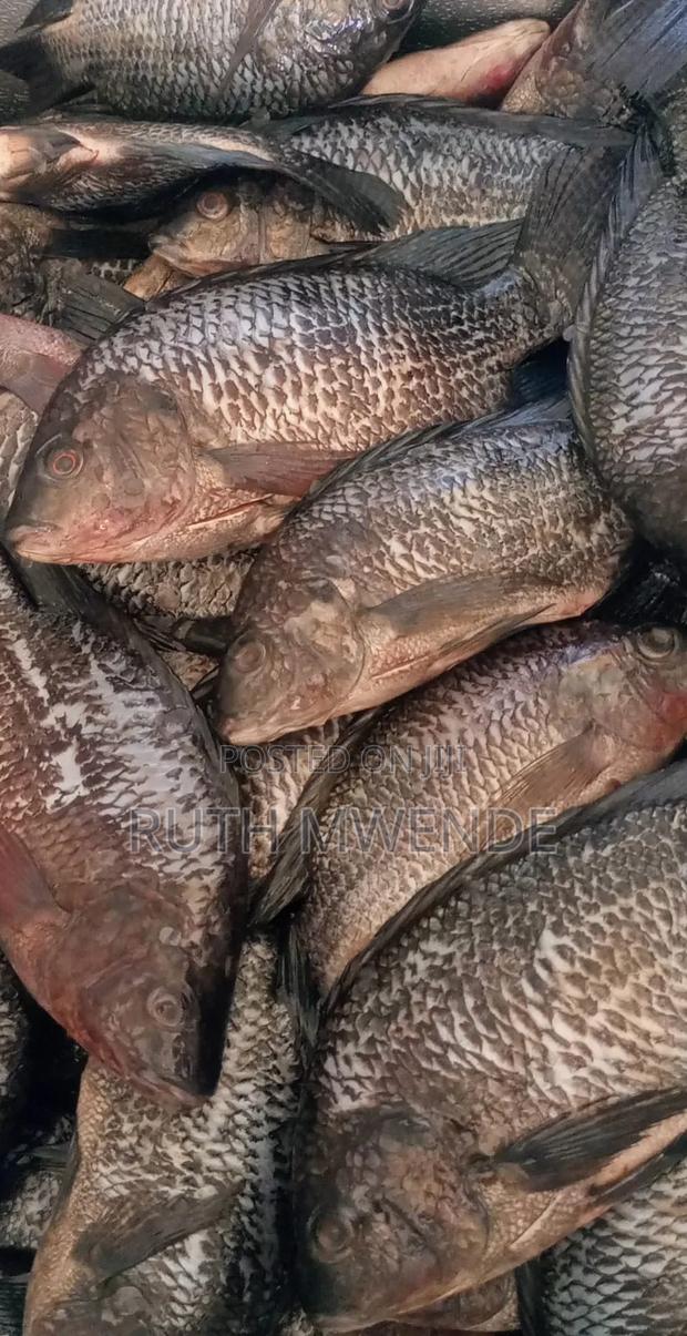 Fresh Fish Sold 4/2 PCS Per Kg