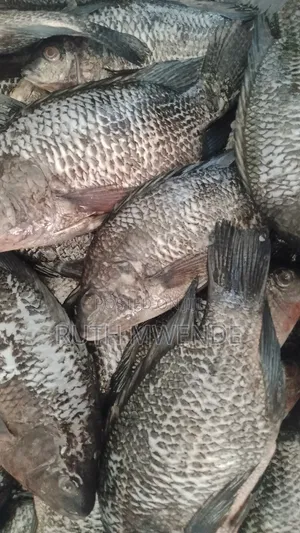 Fresh Fish/ Deep Fried From Lake