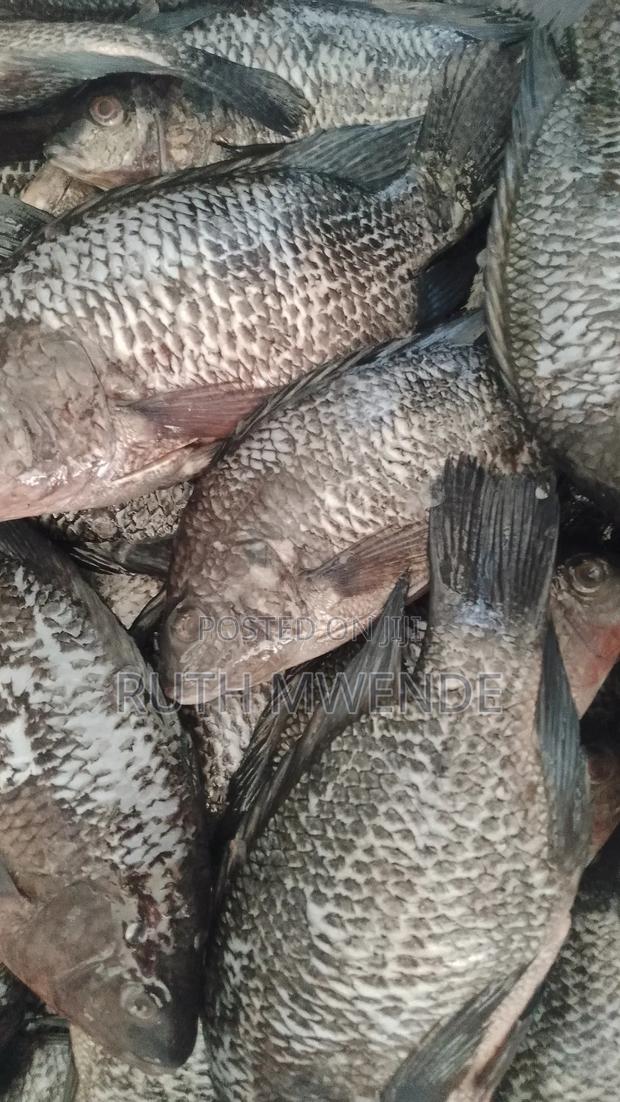 Fresh Fish Sold 4/2 PCS Per Kg - thumbnail 2