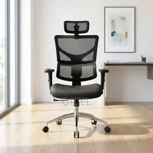 Office Chair : Executive Lumbar Support Office Chair