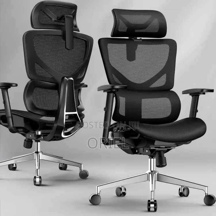Office Chair : Executive Lumbar Support Office Chair