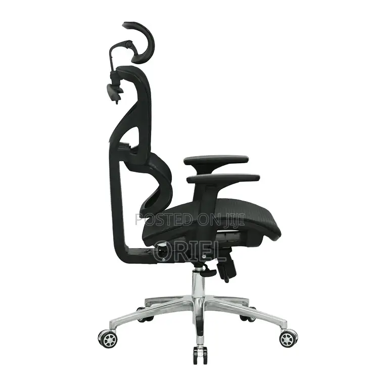 Office Chair : Executive Lumbar Support Office Chair