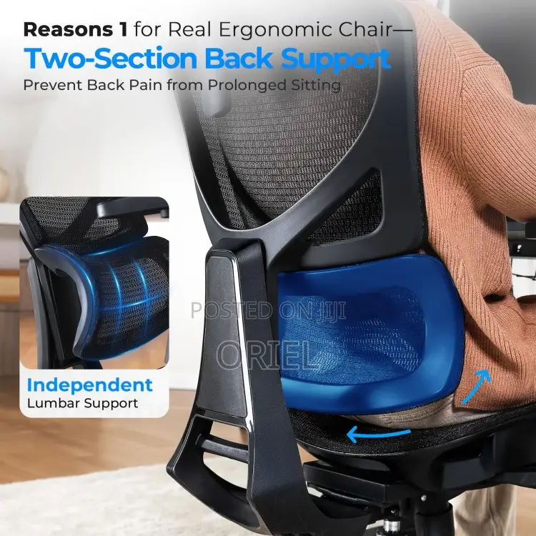 Office Chair : Executive Lumbar Support Office Chair