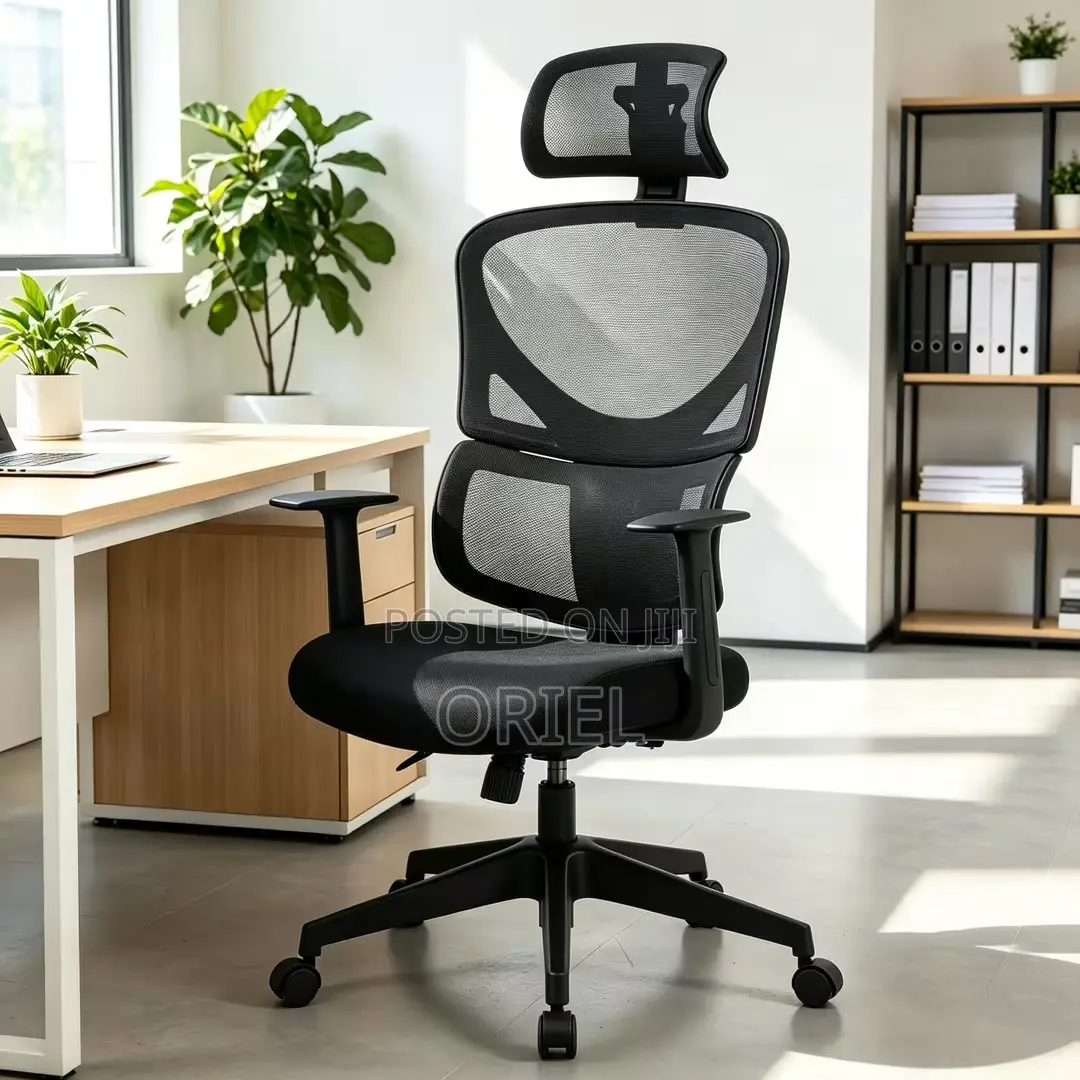 Office Chair : Executive Lumbar Support Office Chair