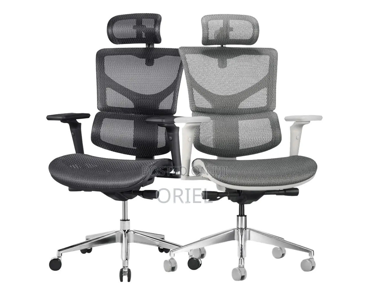 Office Chair : Executive Lumbar Support Office Chair